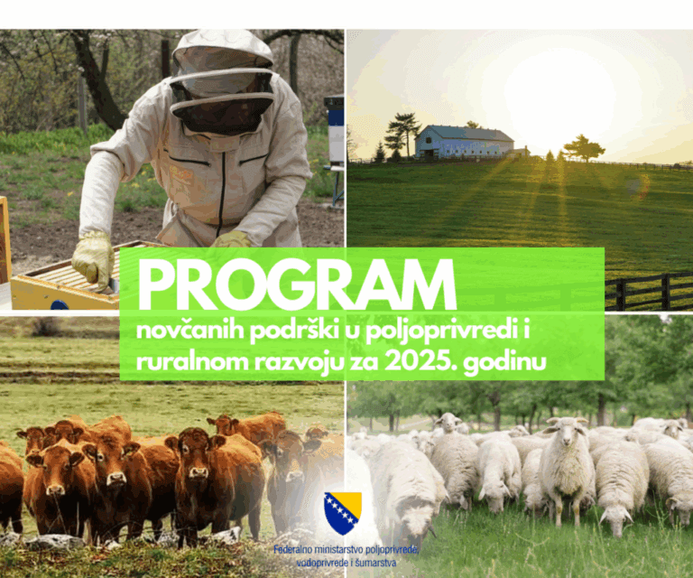 Vandalizam u Puli: Crvene oznake na fasadama i javnim površinama