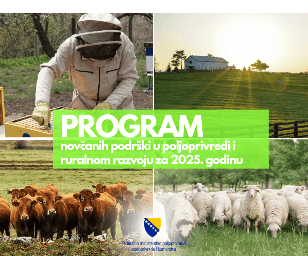 Vandalizam u Puli: Crvene oznake na fasadama i javnim površinama